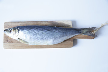 fresh herring isolated on white background with copy space for text. Flat lay. Top view.