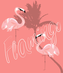 Flamingo. shades of coral. Vector illustration.