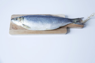 Fresh herring on a cutting wooden board on a white background with copy space for text.