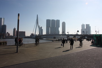 The famous Erasmus Bridge amidst the mist on a late autumn day in Rotterdam, Holland, the Netherlands