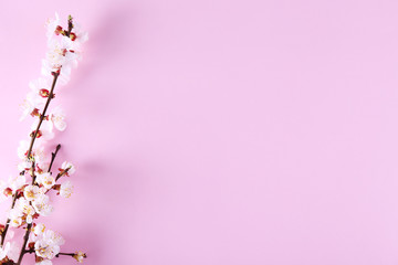 Bunch of spring flowering branches with a lot of white-pink blossoms on paper background. Rustic composition w/ spring flowers on paper textured backdrop. Close up, copy space, top view.