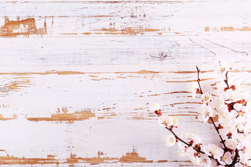 Bunch of spring flowering branches with a lot of white-pink blossoms on wooden background. Rustic composition w/ spring flowers on vintage textured wood table. Close up, copy space, top view.