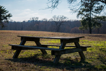 bench in the park