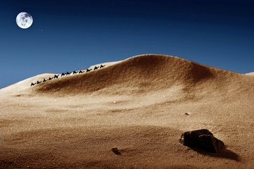 Landscape desert sahara.Stone on the first plan caravan of camel on second plan.Big full moon over sand mountain