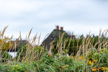 Schilf im Vordergrund und restgedecktes Haus im Hintergrund