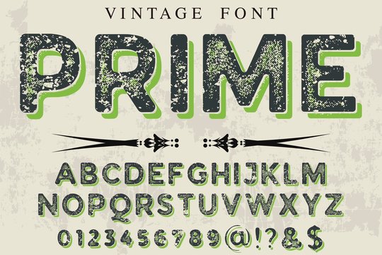 Font Script Typeface  vintage script font Vector typeface for labels and any type designs
