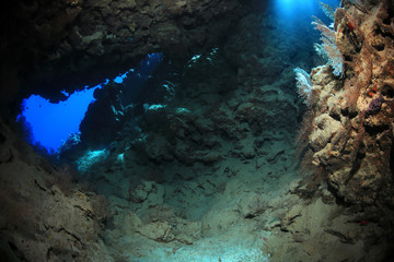 Naklejka na ściany i meble Underwater cave in the Great Barrier Reef