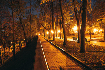 Fototapeta na wymiar Night city park. Wooden benches, street lights and park alley
