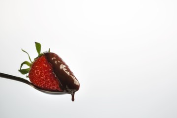 A Strawberry sitting on a spoon gets Chocolate Syrup dropped on it. isolated white. with copy space