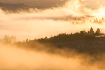 Sunrise at Smoky Mountains. Great Smoky Mountains National Park, USA