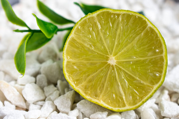 lime on a background of white stones