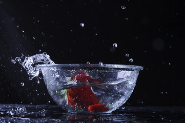 SPLASH