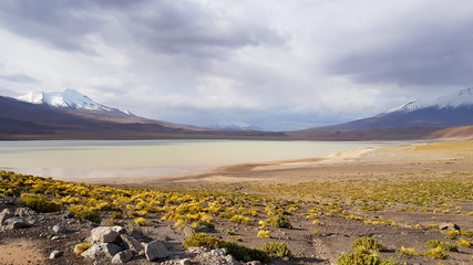 Laguna Hedionda in the desert landscape of the Andean plateau of Bolivia