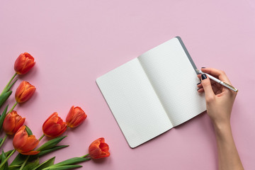 Obraz premium Female hand writing on a notebook. Pink background with tulips. Copy space
