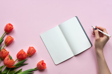Obraz premium Womans hand writing on a notebook. Pink background with tulips. Place for your text