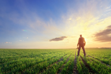 people wheat field sunset / landscape spring field agriculture of Ukraine