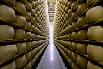 Huge pile of parmiggiano