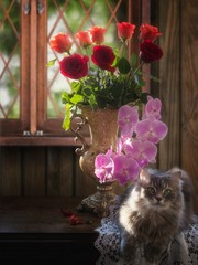 Still life with luxurious bouquet and cute kitty