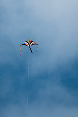 kite flying in the sky
