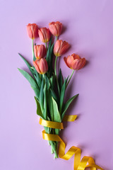 Beautiful flowers on pink background with yellow ribbon. Tulips on color background