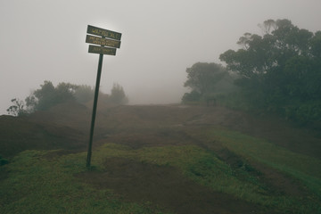 street sign in a foggy park 