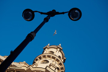 Fototapeta na wymiar lamppost old building and a bird hovering in the blue sky