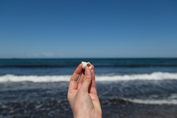 the woman hold a cowrie in the hand by the sea .