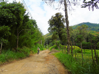 Fototapeta premium en bicicleta