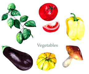 Watercolor set of fresh and ripe vegetables on a white background: tomatoes, Basil, pepper, eggplant, pumpkin and mushroom. Colourful vegetables on a white background for a mouth-watering illustration
