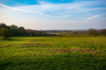 Fototapeta na wymiar beautiful green grass landscape, rural England