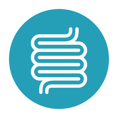 Intestine vector icon