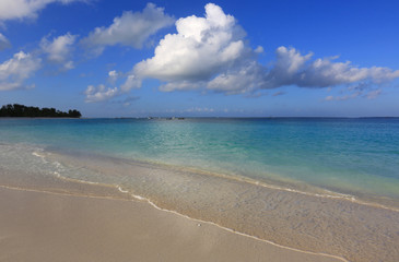 ocean sandy shore