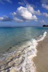morning ocean sandy shore