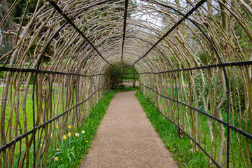 tunnel made of branches with the path in the middle of the photo