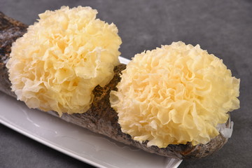 pasta with sauce and cheese