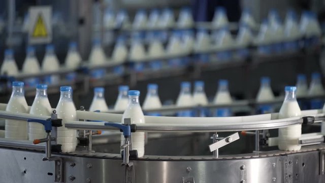 Plastic bottles with milk transported on automated production line