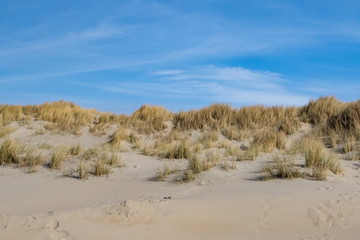 Strand und Dünen