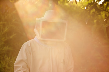 Beekeeper working