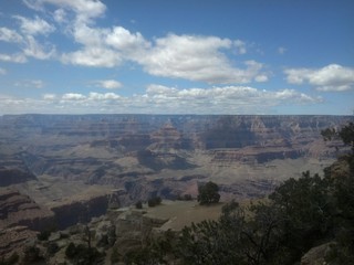 GRAND CANYON, AZ/USA – CIRCA MAY 2016 – Trees stand motionless at the south rim of the Grand Canyon in Grand Canyon National Park, AZ.