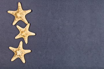 Top view of three starfish on black background.