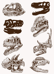 Graphical vintage set of dinosaur skulls ,vector retro sketch © Алексей Воробьёв