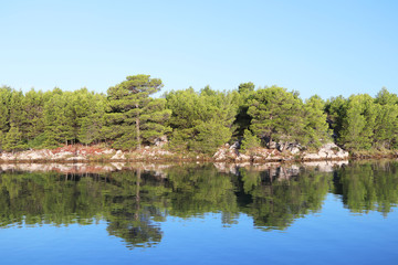 Fototapeta na wymiar Pine forest on the rocky shore of the lake. A paradise for relaxation from the bustle of civilization. Living air for health regeneration. The typical nature of the Mediterranean region. A quiet place