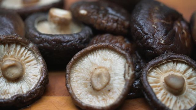 Shiitake Mushrooms Slide 