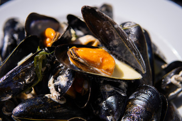 Close up shot of freshly cooked mussels in a creamy sauce with fresh herbs