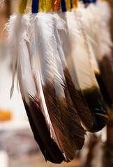 beautiful long painted natural feathers for decoration