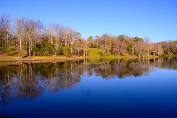 Lake Fairfax in Spring
