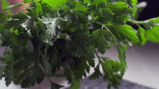 Spanking the parsley, the drops drop the spraying.