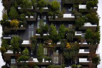Fototapeta na wymiar urban vertical garden