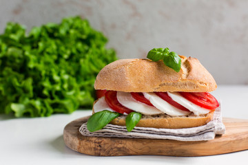 Caprese sandwich: Mozzarella, tomatoes, basil leafes, italian bread, olive oil. Olive oil bottle. white background