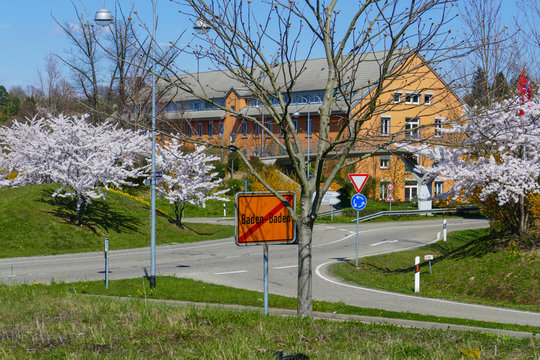 Kreisverkehr an der B500, Zubringer in Baden-Baden mit bl&uuml;henden B&auml;umen